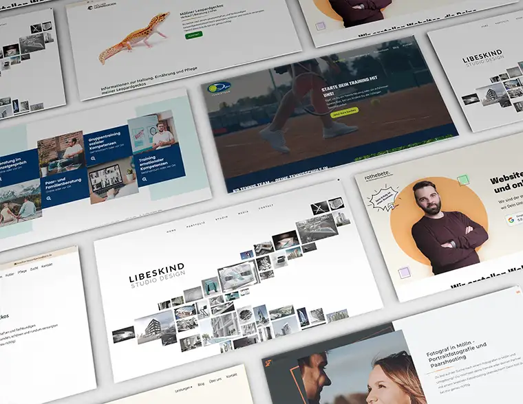 Luthe MEDIA Website-Service