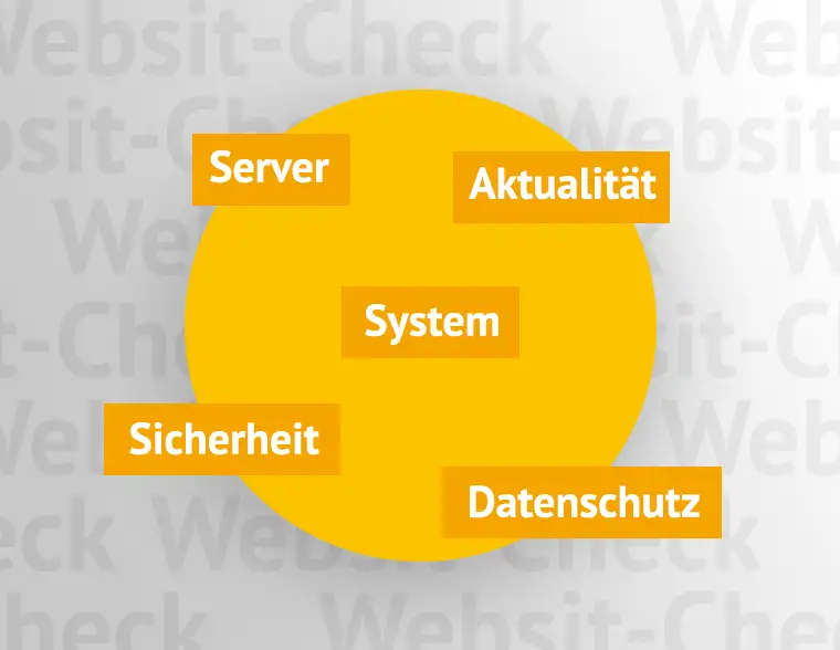 Luthe Media, kostenloser Website-Check